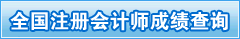 2010年注册会计师成绩查询